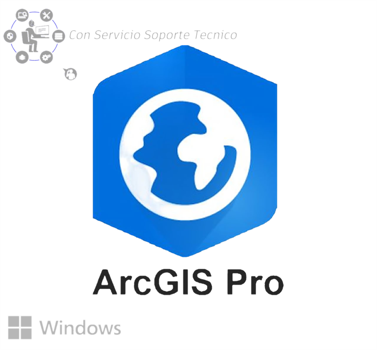 ArcGIS Pro 3.0.1